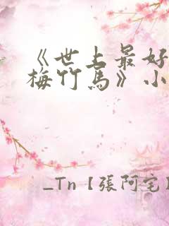 《世上最好的青梅竹马》小说