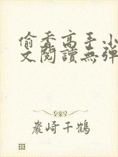 偷香高手小说全文阅读无弹窗