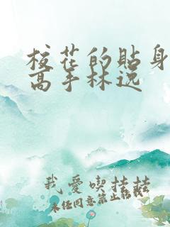 校花的贴身高手高手林逸