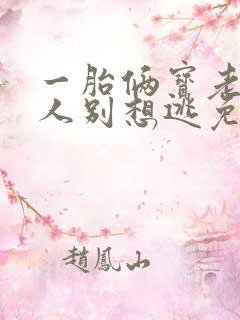 一胎俩宝老婆大人别想逃免费阅读