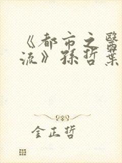 《都市之医武风流》孙哲叶巧朱颜