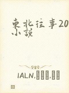 东北往事20年小说