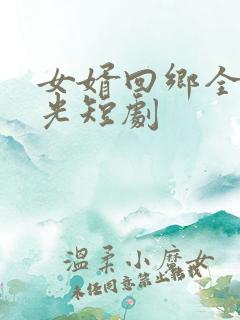 女婿回乡全村风光短剧