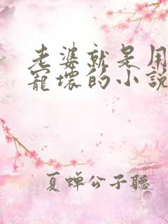 老婆就是用来被宠坏的小说免费阅读