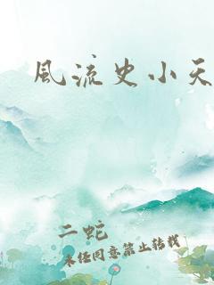 风流史小天