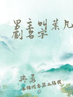 男主叫叶凡的短剧名字