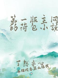 第一版主网好看的荷包小说网