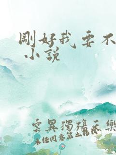 刚好我要不爱你 小说