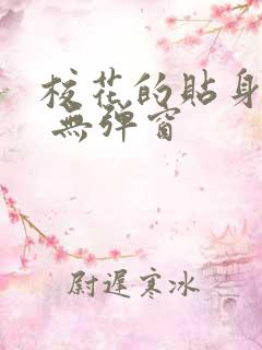 校花的贴身高手 无弹窗