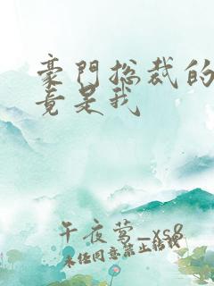 豪门总裁的老婆竟是我