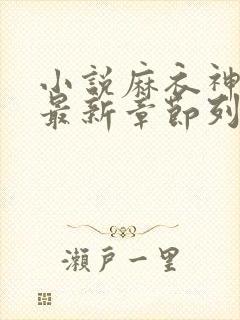 小说麻衣神算子最新章节列