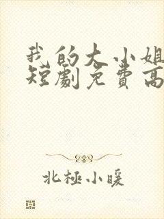 我的大小姐老婆短剧免费高清完整版