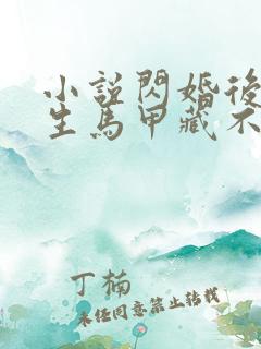 小说闪婚后傅先生马甲藏不住了那里可以看