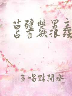 苗疆双男主病娇占有欲很强的小说