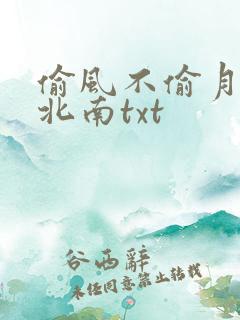 偷风不偷月小说北南txt