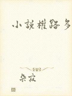小说权路多娇