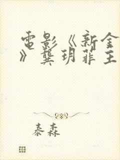 电影《新金梅瓶》龚玥菲主演