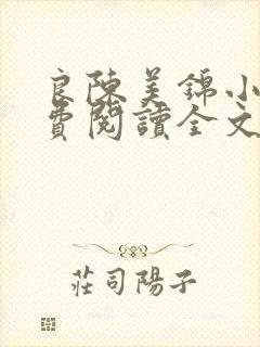 良陈美锦小说免费阅读全文下载