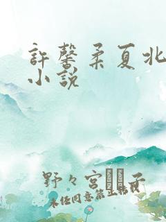 许馨柔夏北全文小说