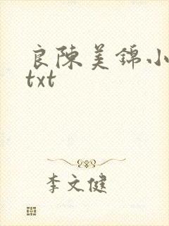 良陈美锦小说.txt