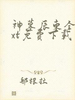 神墓辰东全本txt免费下载