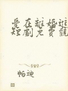 爱在离婚进行时短剧免费观看完整版