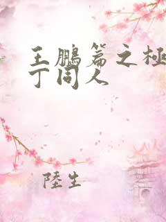 王鹏篇之极品家丁同人