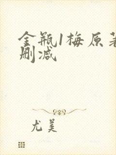 金瓶1梅原著无删减