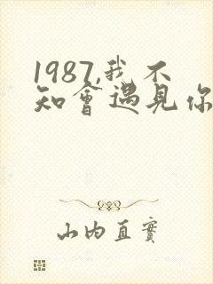 1987,我不知会遇见你小说完整版