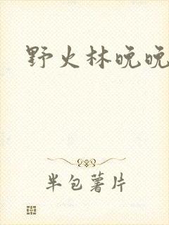 野火林晚晚小说