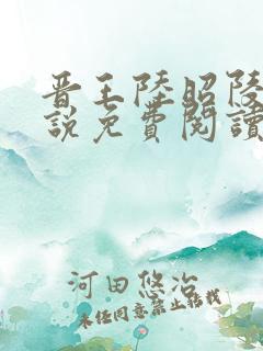 晋王陆昭陵的小说免费阅读