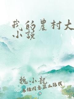 我的农村大妈们小说