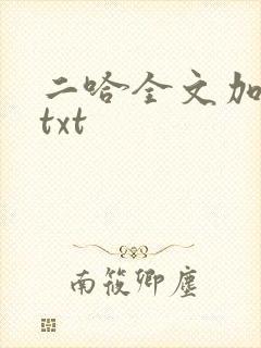 二哈全文加番外txt