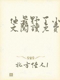 他最野了小说全文阅读免费