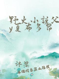 野火小说父女by夏布多昂