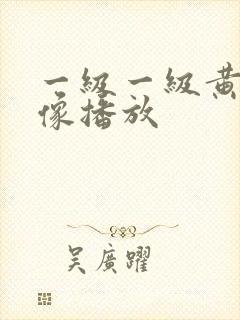 一级一级黄色录像播放
