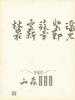 林云苏紫瑶小说最新章节免费阅读全文