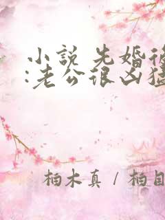 小说 先婚后爱:老公很凶猛