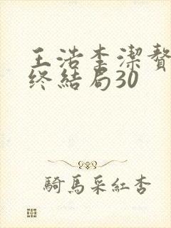 王浩李洁赘婿最终结局30