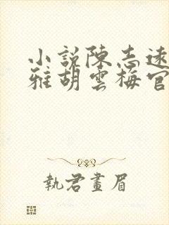 小说陈志远林之雅胡云梅官婿美人图