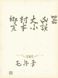乡村大凶器免费完本小说