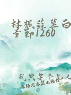 林枫苏慕白最新章节1260
