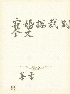 宠婚总裁别太坏全文