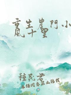 重生农门小福妻 风十里