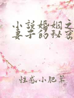 小说婚姻之殇:妻子的秘密方恒免费阅读