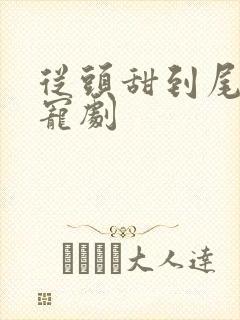 从头甜到尾的甜宠剧