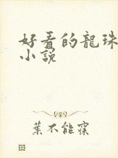 好看的龙珠同人小说