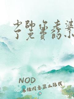 少帅你老婆又跑了免费的小说