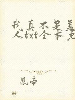 我真不是盖世高人txt全本免费下载