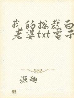 我的总裁白富美老婆txt电子版